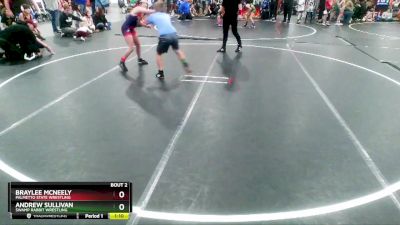 90 lbs Quarterfinal - Andrew Sullivan, Swamp Rabbit Wrestling vs Braylee Mcneely, Palmetto State Wrestling