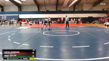 165 lbs Finals (2 Team) - Mikey Hollar, Messiah 2 vs Logan Ledebohm, Penn College 2