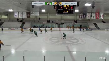 Replay: Home - 2024 SS Kings vs Jr. Bruins | Feb 9 @ 2 PM