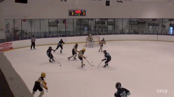 Replay: Home - 2024 Golden Wolves vs CA Bears | Dec 7 @ 10 AM