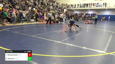 133 lbs Consy 2 - Tanner Berkenstock, Notre Dame GP vs Gael Ramierz, Moeller-OH