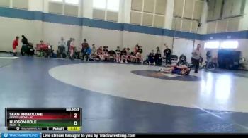 110 lbs Round 3 (4 Team) - Sean Breedlove, Center Grove vs Hudson Odle, Penn