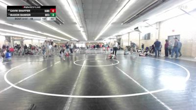 48 lbs Consolation - Gavin Shaffer, Hamburg vs Mason Banker, Ontario