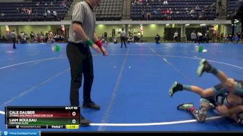80 lbs 1st Place Match - Cale Dauber, Ottawa Wolfpack Wrestling Club vs Liam Rouleau, Chippewa Elite