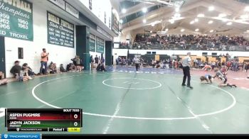 119 lbs Quarterfinal - Jadyn Jackson, Fremont vs Aspen Pugmire, Kuna