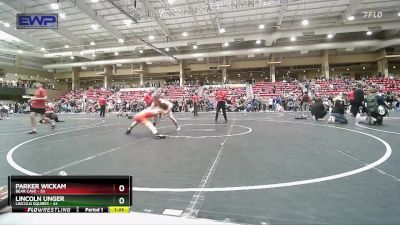 125 lbs 1st Place Match - Parker Wickam, Bear Cave vs Lincoln Unger, Lincoln Squires