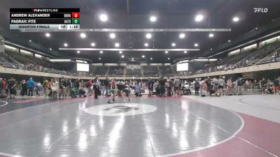 125 lbs Quarterfinal - Andrew Alexander, Burnham vs Padraic Fite, Hatboro
