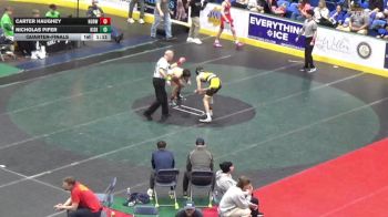 132 lbs Quarterfinal - Carter Haughey, Norwin vs Nicholas Pifer, Kiski Area