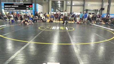 100 lbs Quarterfinal - Bentley Jackson, Shermans Dale vs Evan Ludwig, Red Lion