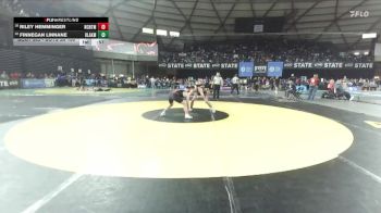 Boys 3A 150 lbs Cons. Round 3 - Riley Hemminger, North Central vs Finnegan Linnane, Kentlake