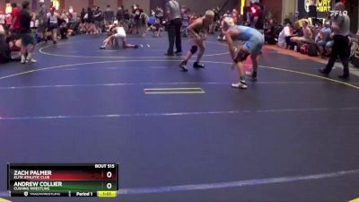 138 lbs Quarterfinal - Zach Palmer, Elite Athletic Club vs Andrew Collier, Cushing Wrestling