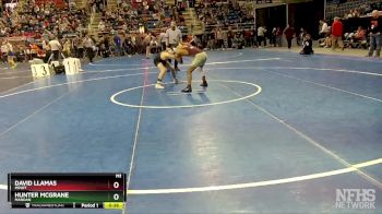 107 lbs Cons. Semi - David Llamas, Minot vs Hunter McGrane, Mandan