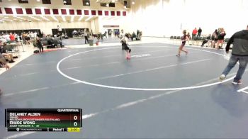 100 lbs Quarterfinals (8 Team) - Delaney Alden, Grand Meadow/Leroy/Ostrander/Southland, MN vs Chloe Wong, Joliet Township, IL