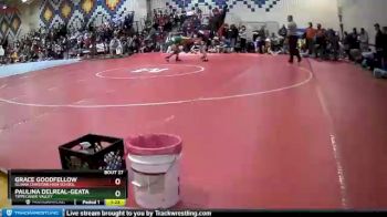 132 lbs Champ. Round 1 - Paulina Delreal-Geata, Tippecanoe Valley vs Grace Goodfellow, Illiana Christian High School