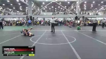 84 lbs Round 1 (6 Team) - Aleric Raihl, PA Alliance Blue vs Tristan Dee, Warhawks Red