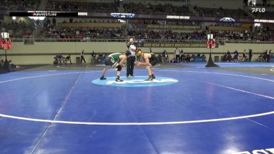 184 lbs Champ. Round 1 - Ty McGeary, West Liberty vs Calan Staub, Mount Olive