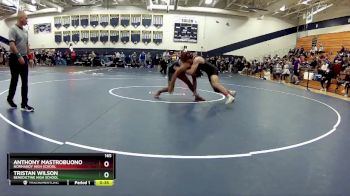 165 lbs Cons. Round 3 - Tristan Wilson, Benedictine High School vs Anthony Mastrobuono, Normandy High School