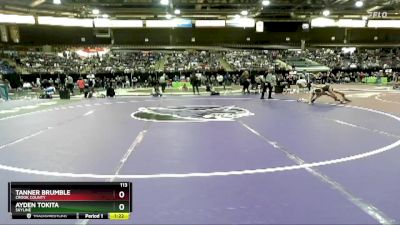 113 lbs Quarterfinal - Ayden Tokita, Skyline vs Tanner Brumble, Crook County