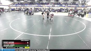 184 lbs Cons. Round 3 - Wyatt Haynes, University Of Chicago vs Michael Loger, Wisconsin-Oshkosh