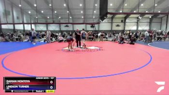 157 lbs Cons. Round 6 - Damian Montoya, CA vs Lindson Turner, MN