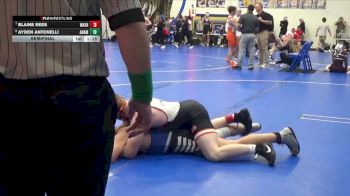 190 lbs Semifinal - Ayden Antonelli, Anamosa vs Blaine Rees, Washington