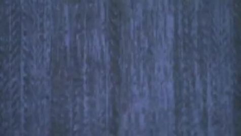 UCLA (Elyse Hopfner-Hibbs)