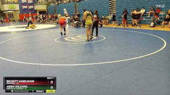 215 lbs Semis (4 Team) - Aiden Sullivan, Knoxville Catholic vs Beckett Haselhuhn, Rossview