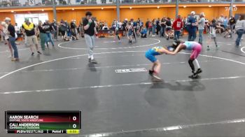 75 lbs Cons. Round 2 - Cali Anderson, Summerville Takedown vs Aaron Search, Eastside Youth Wrestling