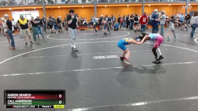 75 lbs Cons. Round 2 - Cali Anderson, Summerville Takedown vs Aaron Search, Eastside Youth Wrestling