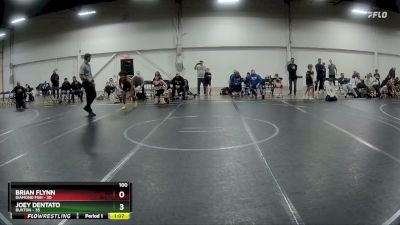 100 lbs Semis (4 Team) - Joey Dentato, Buxton vs Brian Flynn, Diamond Fish