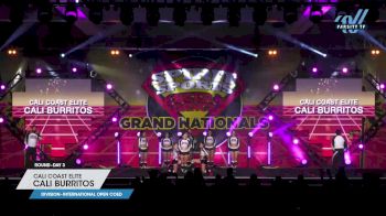 Cali Coast Elite - Cali Burritos [2023 L4 International Open Coed Day 3] 2023 Spirit Sports Palm Springs Grand Nationals