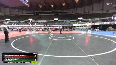 138 lbs Quarters & Wb (16 Team) - Matteo Martincavage, Nazareth vs Camden Murry, Woodgrove