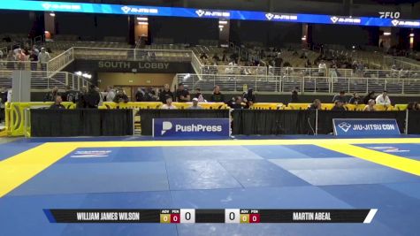 Martin Abeal vs William James Wilson 2025 Pan Jiu Jitsu IBJJF Championship