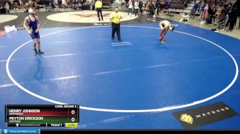 126 lbs Cons. Round 2 - Peyton Erickson, Hastings vs Henry Johnson, Mahtomedi