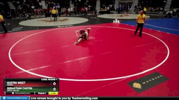 132 lbs Cons. Round 1 - Austin West, Anoka vs Sebastian Castin, Apple Valley