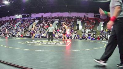 120 lbs Semifinals (8 Team) - Trever Davis, Huron HS (New Boston) vs Alex Loomis, Fowlerville HS