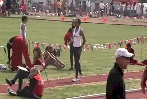 Northridge Lauren LJ6