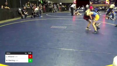 80 lbs Round Of 32 - Logan Hillyard, Albert Gallatin vs Wade Sterling, Union City