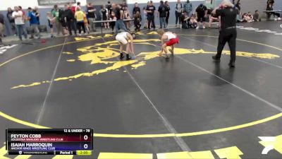 78 lbs Rr2 - Peyton Cobb, Soldotna Whalers Wrestling Club vs Isaiah Marroquin, Anchor Kings Wrestling Club