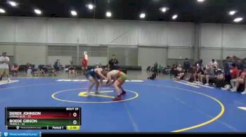 160 lbs Round 7 (8 Team) - Derek Johnson, Kansas Blue vs Boede Gibson, Texas A