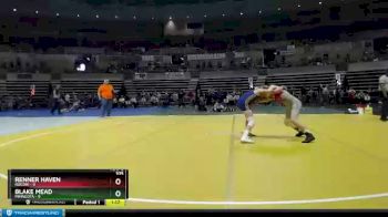 105 lbs Semis & 1st Wrestleback (8 Team) - Blake Mead, Minneota vs Renner Haven, Rocori