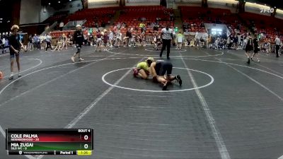 88 lbs Round 2 (6 Team) - Cole Palma, Neighborhood vs Mia Zugai, Silo WC