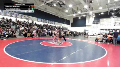 115 lbs Quarterfinal - Tiffany Nguyen, Santa Ana vs Angelique Mexia, Esperanza