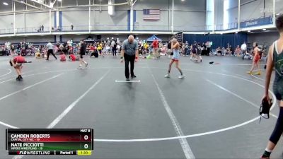 84 lbs Finals (2 Team) - Nate Picciotti, Vipers Wrestling vs Camden Roberts, Capital City WC