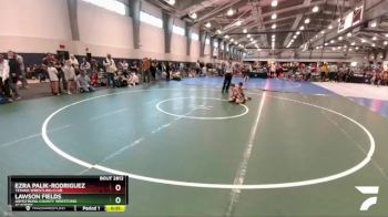 83 lbs Cons. Round 1 - Ezra Palik-Rodriguez, Texans Wrestling Club vs Lawson Fields, Armstrong County Wrestling Academy