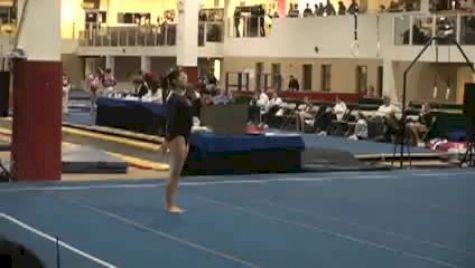 Metroplex (Lauren Li)