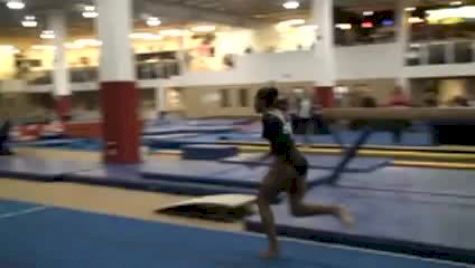 Aerial Athletics (Maliah Mathis)