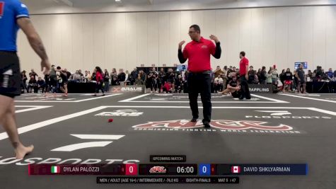 Dylan Palozzi vs David Shklyarman 2024 ADCC Niagara Open