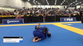 Sergey Raspopov vs Cody Dewayne Schneider 2024 World Masters IBJJF Jiu-Jitsu Championship
