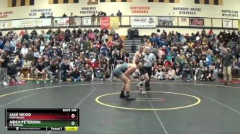 157 lbs Semifinal - Aiden Peterson, St. Edward vs Jake Wood, Perrysburg